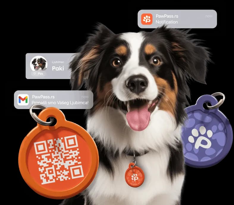 PawPass QR privezak na ogrlici ljubimca