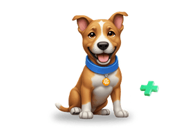 Digital Health Booklet