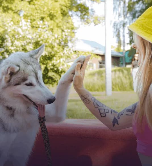 Osećam se sigurnije sa PawPass priveskom. Moj pas Roki je jednom pobegao, ali zahvaljujući privesku, brzo su me kontaktirali i našli ga. Ovaj mali dodatak znači sve za našu porodicu!